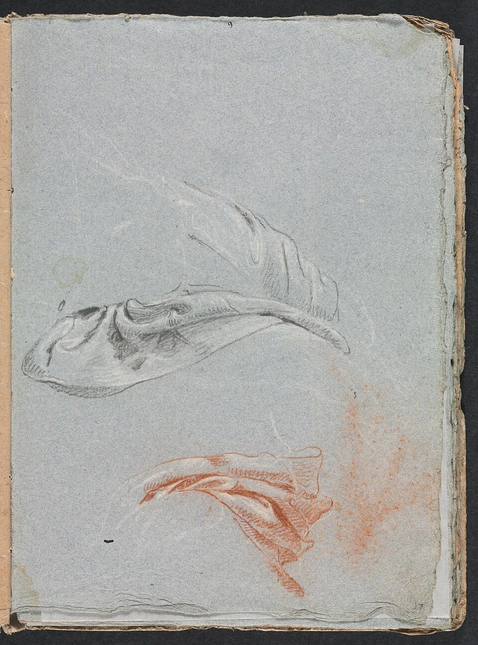 Studi sui drappeggi  - Cleveland Museum of Art